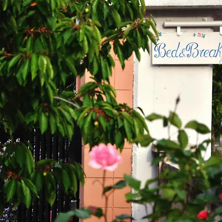 Casa Dolce Casa Ruvo-2