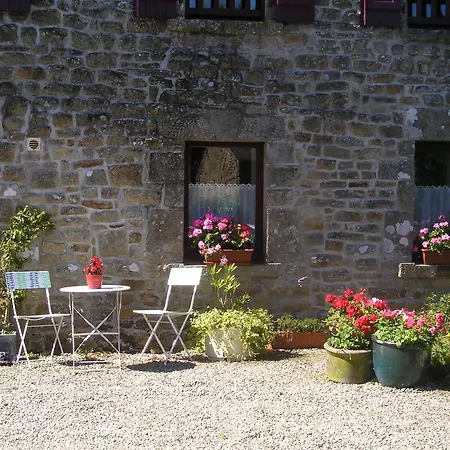 Les Hortensias de Kerbarch-2