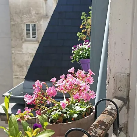 La Chambre Bleue-3