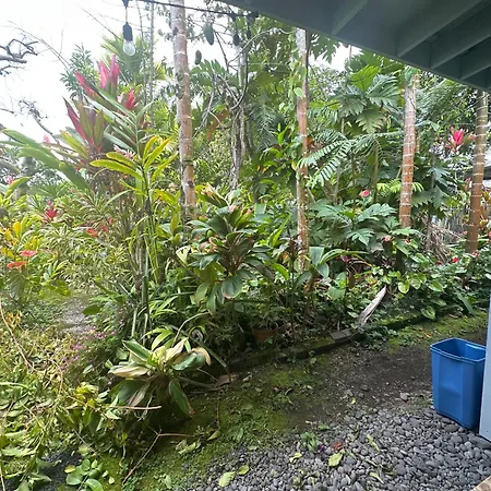 Hawaiian Ohana Home-3