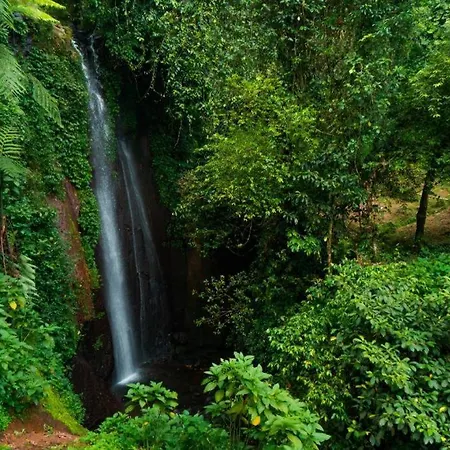 The Highland Park Resort Bogor-2