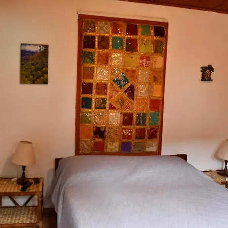 La Cigarra Casa De Huespedes-2