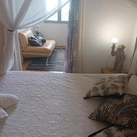 Racoon Lodge-2