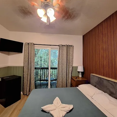 Wild Ginger Hotel-3