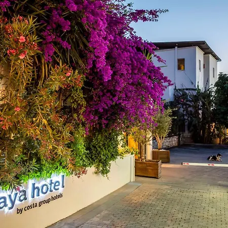 Costa Maya Bodrum-3