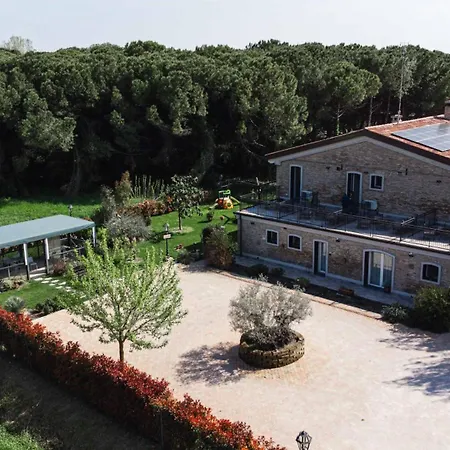 La Pineta Del Borgo-2