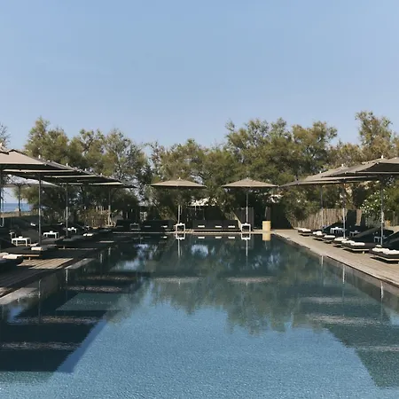 Hôtel Plage Palace&Spa-2