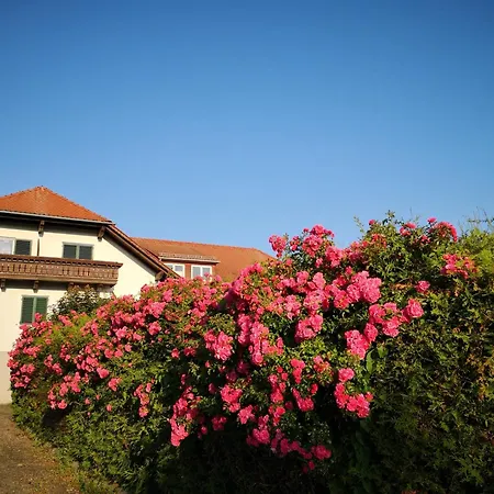 Goldener Hahn Apartments-2