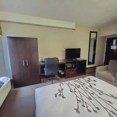 Surestay By Best Western Summerville Flowertown-3