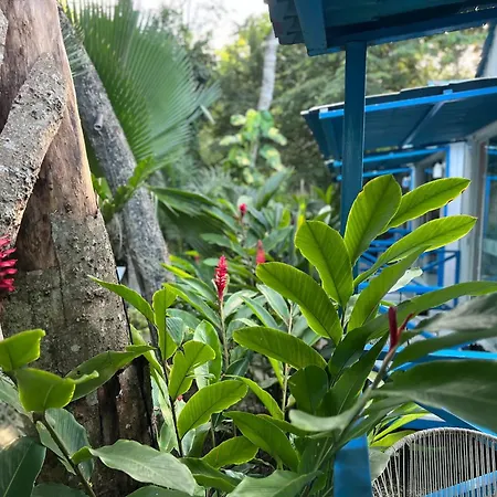 Zensus Eco Boutique Hotel-2
