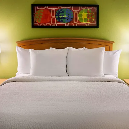 Sonesta Simply Suites Phoenix Scottsdale-3