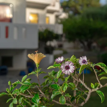 Plakias Bay Hotel-2