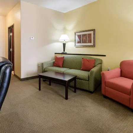 Comfort Suites Palestine-2
