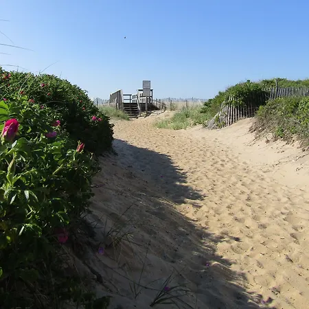 Sole Beach-3