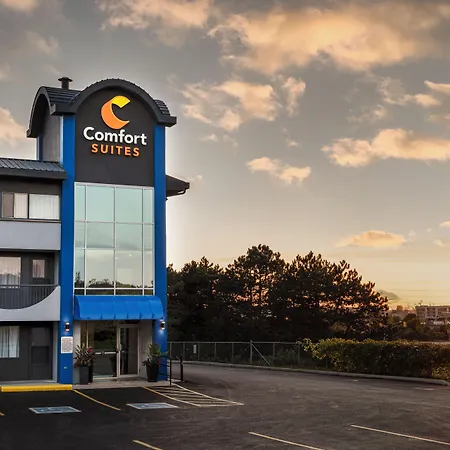 Comfort Suites Kingston Central-2