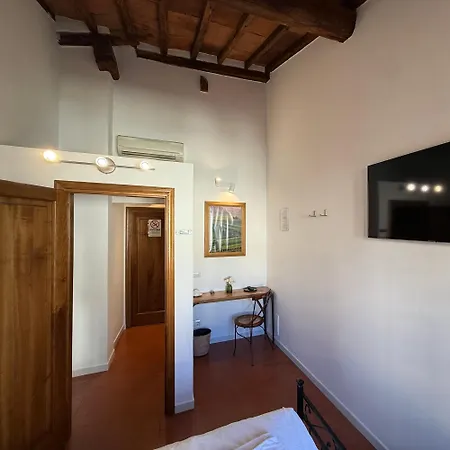 Domus Plaza-3