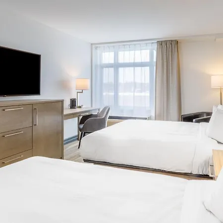 Repotel Levis-3