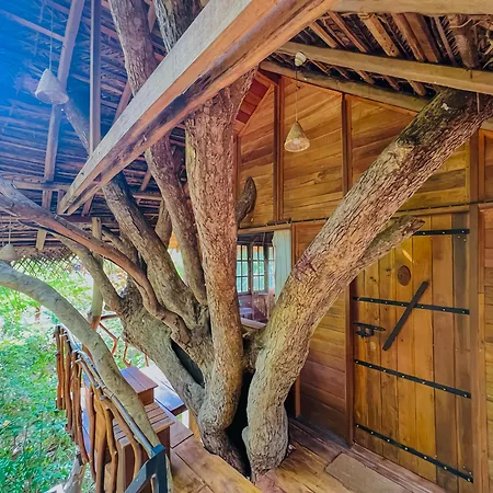 Habarana Tree House Ambasewana Resort-3