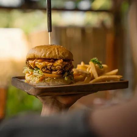 Voodoo Gili-2
