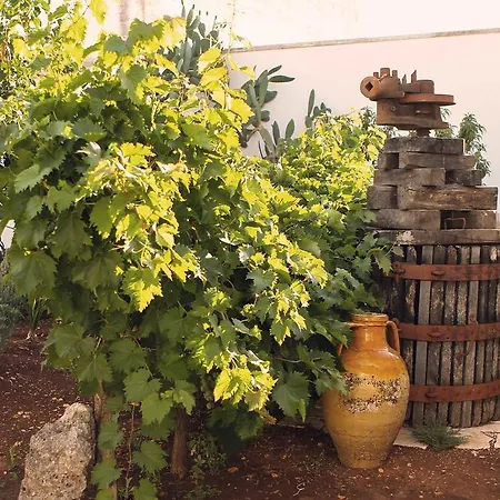 Corte Trullo Sovrano B&B-2
