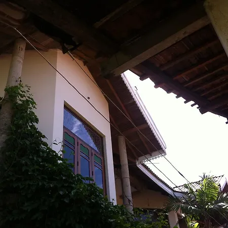Bee Nest Bed & Breakfast-3