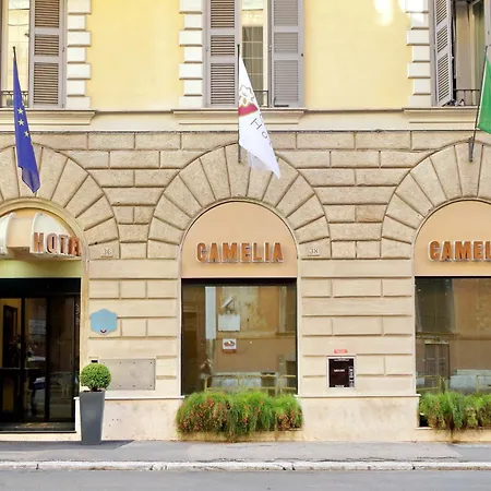 Hotel Camelia-2