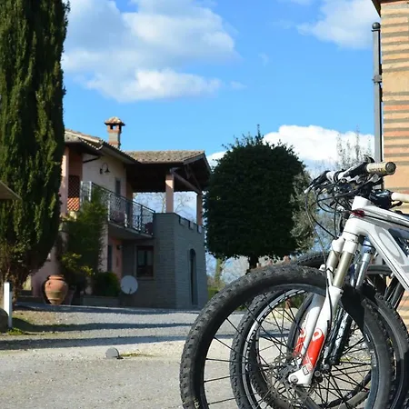 Bed And Breakfast Bike-2