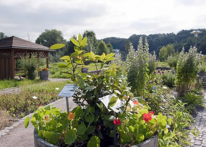 Rehaklinik Thermalbad Wiesenbad