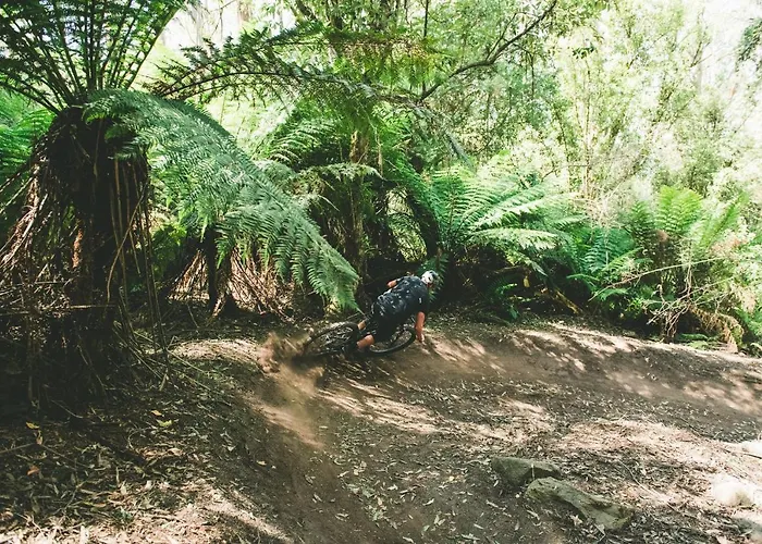 The Surfside Beaumaris