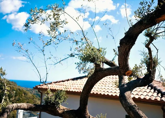 Country House “ Il Mandorlo”