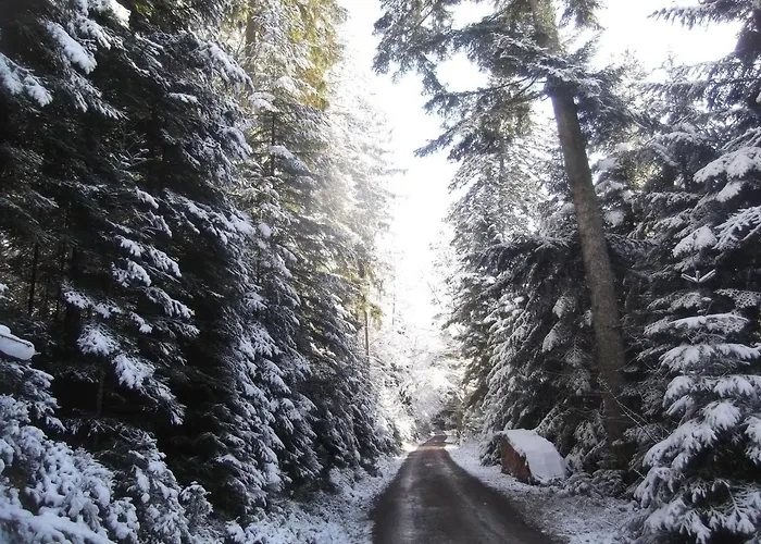 Schwarzwald-Gasthof Hirsch