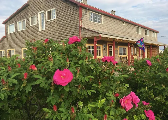 Auberge Café Acadien