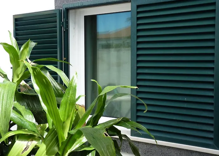 Azores Holidays House - B&B