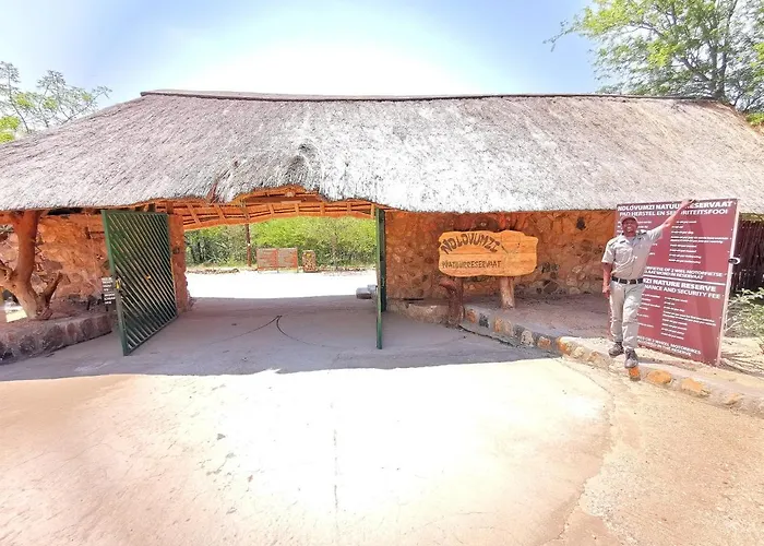 Mali Mali Safari Lodge