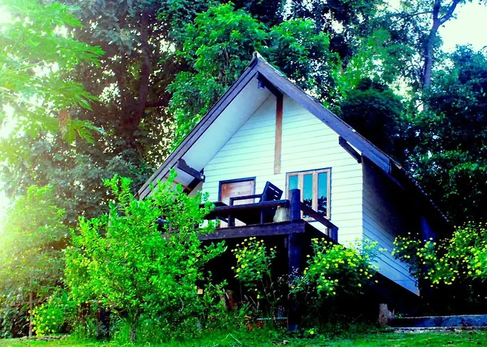 Jungle Guest House
