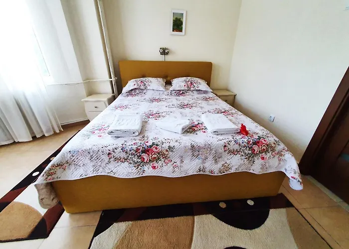 Hotel Florentina