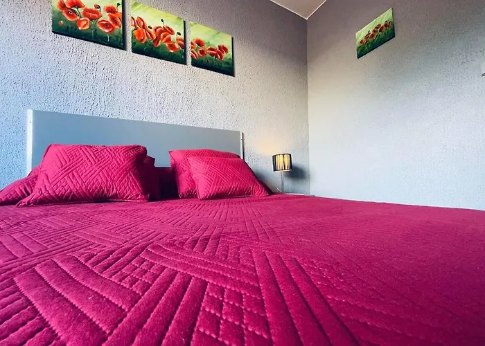 L Organdi