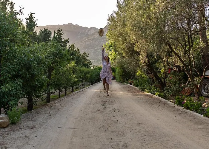 S'Arenada Hotel - Adults Only