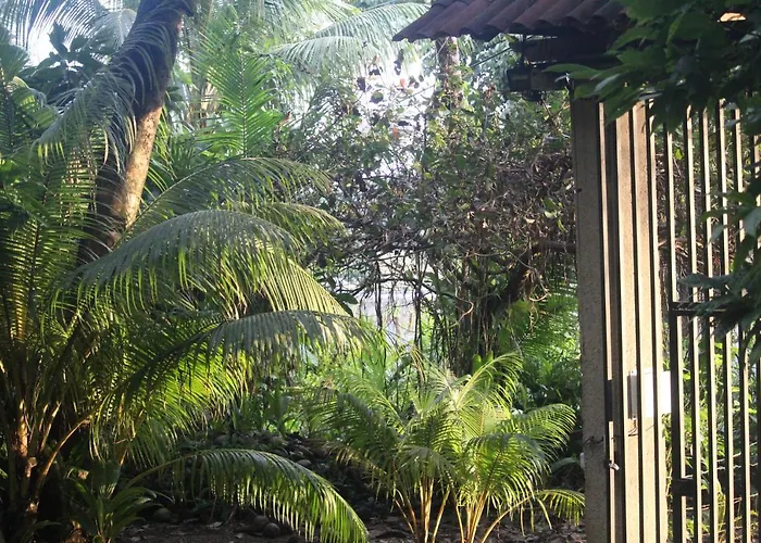 Iguana Libre