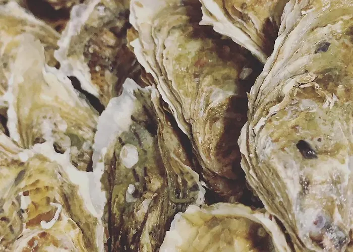 Hotel Tetto delle Marche - Ristorante dei Conti