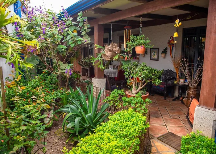 La Casa de Mamá Coyita