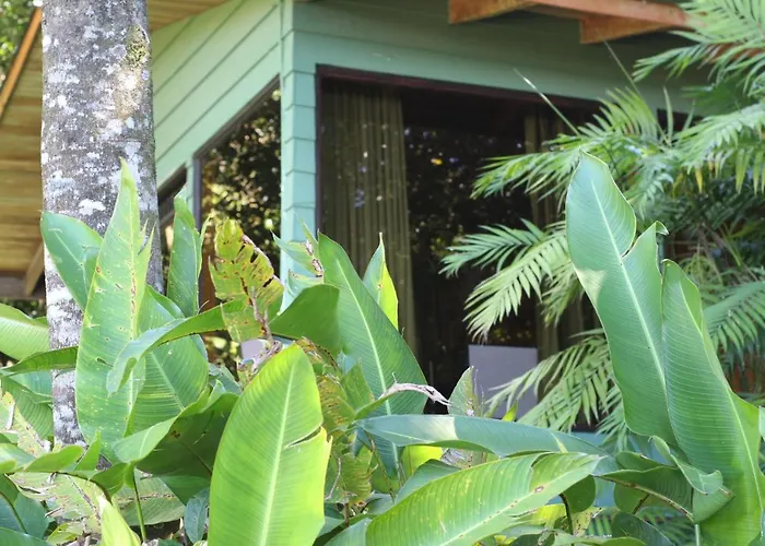 Hotel Flor De Bromelia