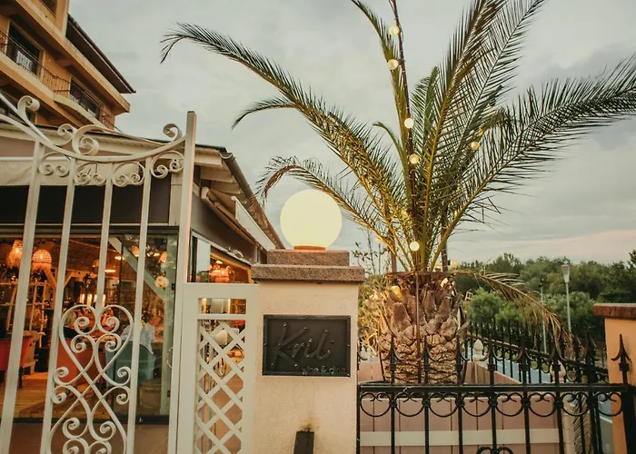 Hotel Coandi