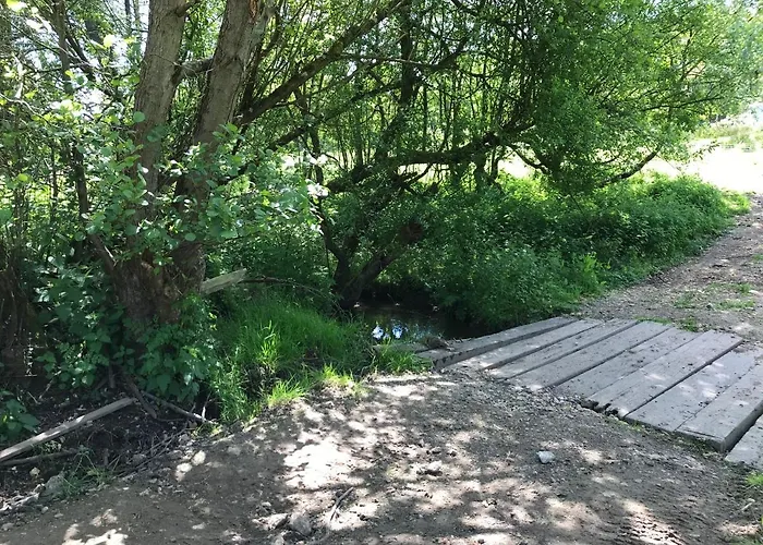 Shepherds Huts at Ham Hill: Lakeside Retreat with Pet-Friendly Cottages