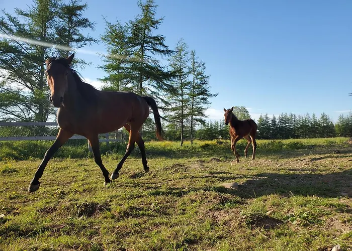 Back Home Lodging