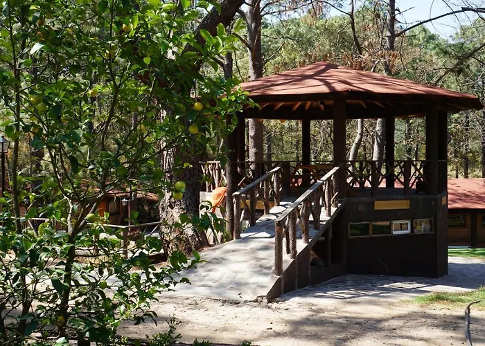 Rincon Del Bosque