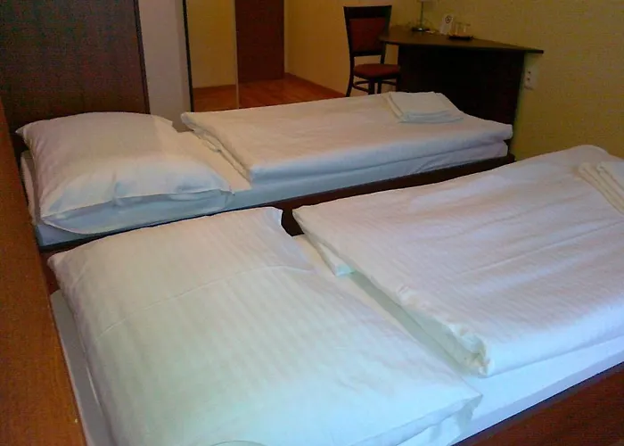Hotel Arli
