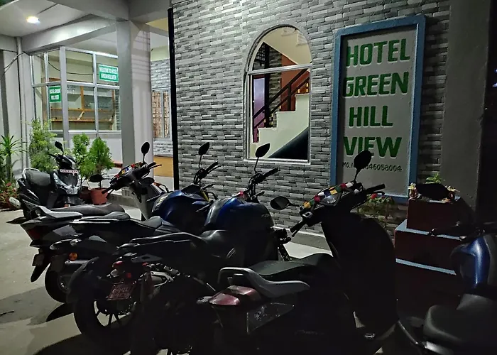 Hotel Green Hill View