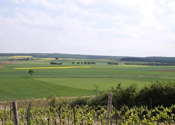 Landhotel&Weingut Espenhof