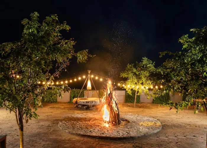 Wild Culture Yala